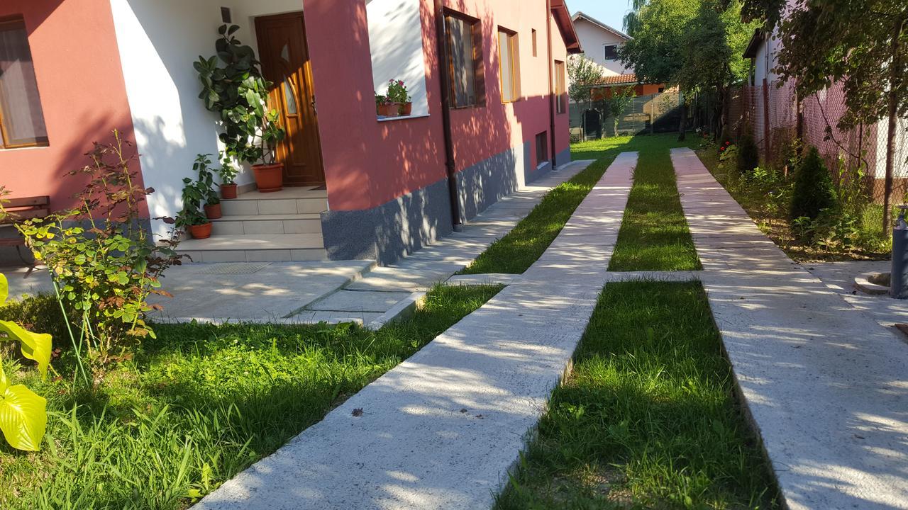 Отель Vila Alex Кэлимэнешти Экстерьер фото